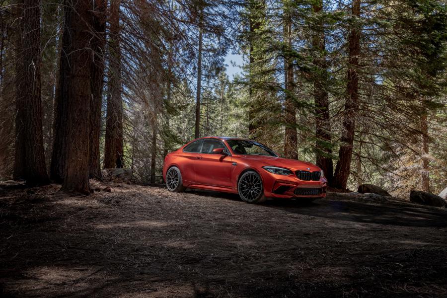  BMW M2 Competition (F87) 2018 года  (NA) (фото 40 из 40)